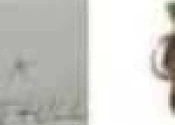 X Shutting Down Artist, Elon Musk Involved In Attacking Freedom of Speech?