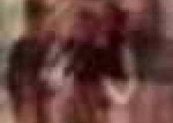 Emergency US Fed Rate Cut This Week - Odds Jump to 60%