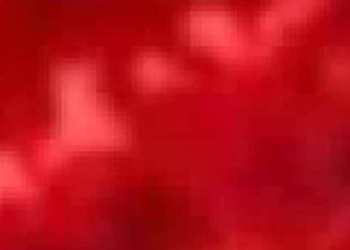 Bitcoin Price Trajectory Is Reminiscent of March 2020 Covid Crash