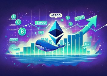 Ethereum's Journey to $2900: Whales Invest $132 Million in ETH