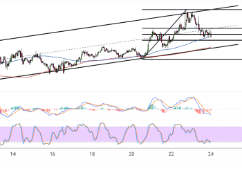 Binance Coin Ascending Channel Intact As Price Nears Support