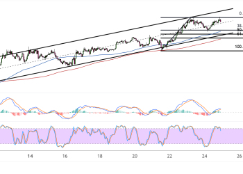 Solana Climbs Within Ascending Channel, Hints At Continued Upside