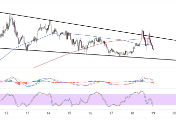dogecoin may 19 2025