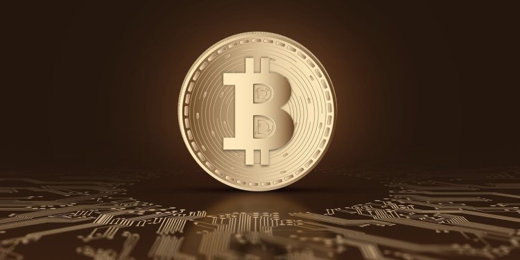 bitcoin adoption