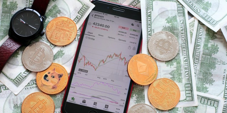 bitcoin treasury