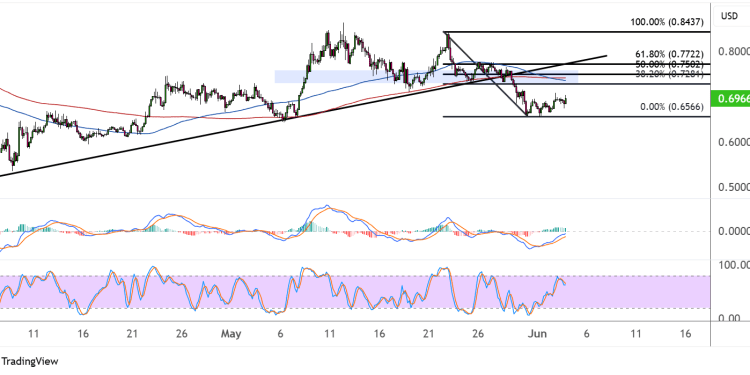 cardano june 4 2025