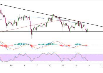 binance coin june 19 2025
