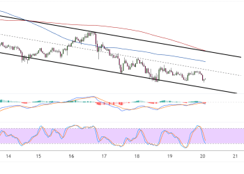 cardano june 20 2025