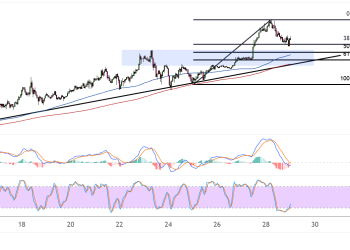 binance coin july 29 2025