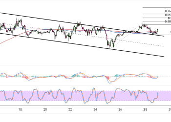 bitcoin july 29 2025