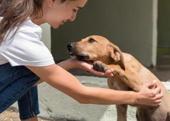 A modern form of giving